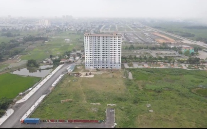 Dự án nhà ở xã hội cả trăm tỷ "bỏ hoang" biến thành bãi chăn thả trâu bò tại Thanh Hóa