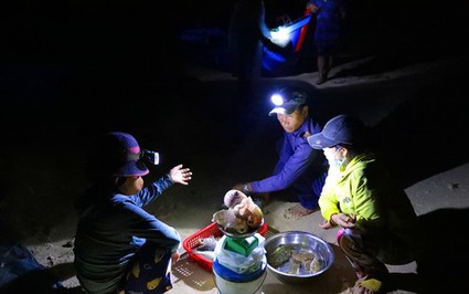 Độc lạ 'bến đèn pin' buôn bán hải sản sớm tinh mơ