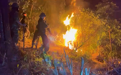 Cháy rừng ở Nghệ An, trong đêm hàng trăm người lao lên rừng dập lửa 