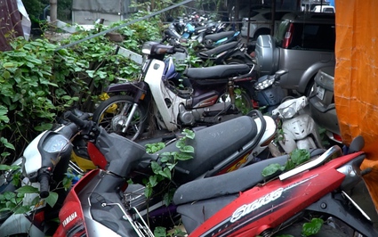 Video: Hàng nghìn chiếc xe máy phơi mưa nắng, làm "giàn" cho dây leo tại bãi trông giữ xe vi phạm ở Hà Nội