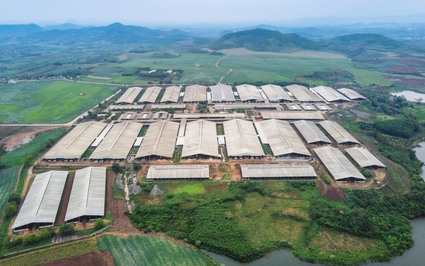 Để Việt Nam có nhiều tỷ phú USD: Tỷ phú từ lĩnh vực nông nghiệp, tại sao không? (Bài 5)