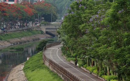 Hình ảnh thảm cỏ xanh mướt, hút mắt trên con đường chỉ dành riêng cho người đi bộ, xe đạp ở Hà Nội