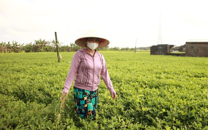 Chuyện về ngôi làng từng bị bão xóa sổ sau gần 20 năm ở Nam Định