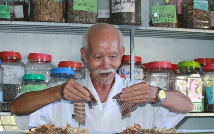 Võ sư già ở Khánh Hòa đam mê chữa bệnh miễn phí cho người nghèo