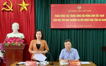 Phó Chủ tịch BCH Hội Nông dân Việt Nam Bùi Thị Thơm làm việc với Hội Nông dân tỉnh Hà Nam