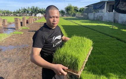 Anh nông dân trồng lúa trên cánh đồng thẳng cánh cò bay ở Thái kiểu gì mà nổi tiếng khắp vùng?