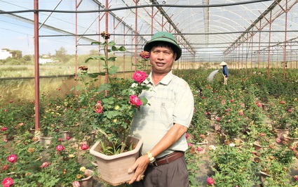 Đưa loại cây là chúa tể các loài hoa vô trồng chậu, ông nông dân Lâm Đồng này thu tiền tỷ