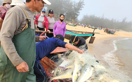 Ngư dân ở huyện có diện tích lớn thứ 3 cả nước đánh bắt được gần 12.000 tấn cá, tôm