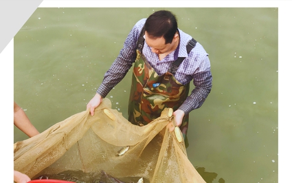 Nuôi thành công một loài cá đặc sản cho thịt thơm ngon, bổ dưỡng ở Lào Cai, giá cao nhất 400.000 đồng/kg