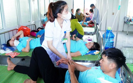 Vụ 71 công nhân ngộ độc ở Nghệ An: Nhiều côn trùng trong bếp, bàn chế biến bẩn