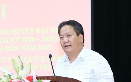Chủ tịch Hà Nội kết luận nội dung tố cáo ông Nguyễn Tiến Cường - Chủ tịch UBND huyện Thanh Trì
