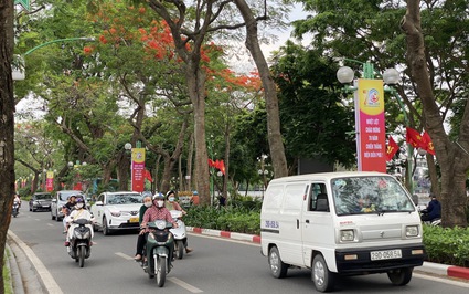 Hoa phượng khoe sắc đỏ rực trên tuyến đường "lãng mạn nhất Thủ đô"