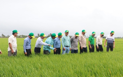 Lãnh đạo Campuchia tâm đắc với chương trình canh tác lúa thông minh của Việt Nam