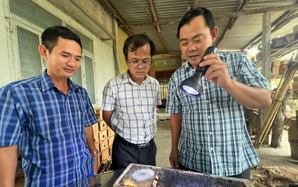 Một ông nông dân Phú Yên nuôi thành công loài vật làm ra "thứ nước" có 3 vị, nhiều người đến xem