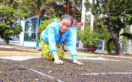Đâu là loại hạt gia vị đang tăng giá tốt nhất ở Kiên Giang, chính là loại hạt bé tí này, đã tăng gấp đôi