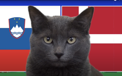 Mèo tiên tri Cass dự đoán kết quả Slovenia vs Đan Mạch