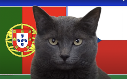 Mèo tiên tri Cass dự đoán kết quả Bồ Đào Nha vs CH Czech