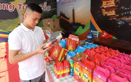 Nhiều sản phẩm OCOP đặc trưng vùng miền “tề tựu” tại Ninh Bình