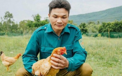 Ở Quảng Bình có anh nông dân nuôi loại gà thoạt nhìn ai cũng chê bé tí, ấy mà bán giá 600.000 đồng/con