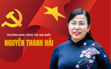 Infographic: Chân dung và sự nghiệp tân Trưởng Ban Công tác đại biểu Nguyễn Thanh Hải 