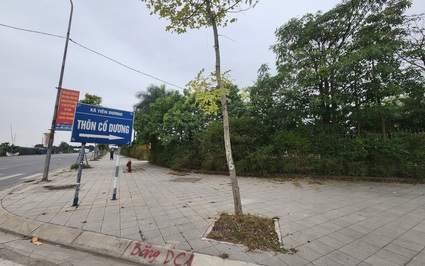 Giá đất vùng ven Hà Nội có nơi rao bán 650 triệu đồng/m2, liệu có "thổi giá"?