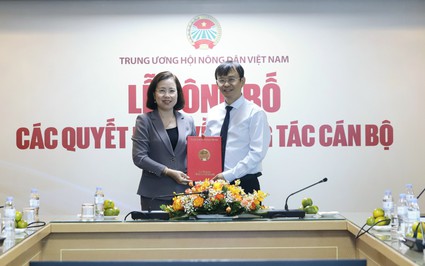 Nhà báo Nguyễn Văn Hoài được bổ nhiệm giữ chức vụ Tổng Biên tập Báo Nông thôn Ngày nay/Điện tử Dân Việt