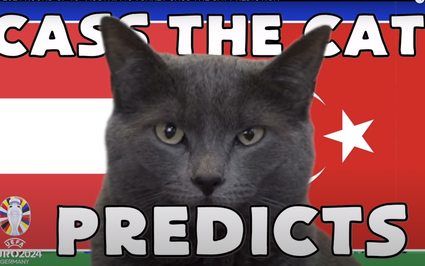 Mèo tiên tri Cass dự đoán kết quả Áo vs Thổ Nhĩ Kỳ