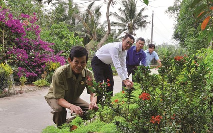 Đường hoa nông thôn mới ở Bạc Liêu đẹp mê tơi, đồng bào Khmer trồng hoa mười giờ, hoa sao nhái, cây bông trang
