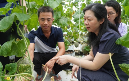 Đi thăm mô hình nuôi lợn, trồng dưa, Chủ tịch Hội Nông dân tỉnh Bắc Ninh ấn tượng vì hiệu quả kinh tế rất cao
