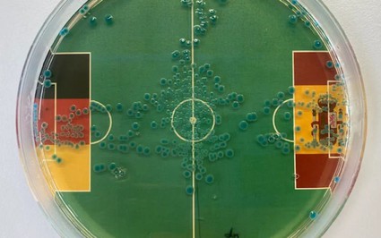 Tây Ban Nha vs Đức (tứ kết EURO 2024): Nhà tiên tri đặc biệt" dự đoán bên nào thắng?