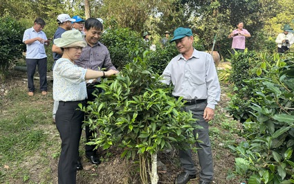 Phú Yên: Sắp diễn ra Hội thi “Tuyên truyền viên giỏi về công tác giảm nghèo năm 2024”