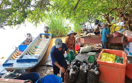 Chợ quê ở An Giang họp ngay mé sông Hậu, trên trời, dưới la liệt cá đồng ngon, người mua kẻ bán xôn xao