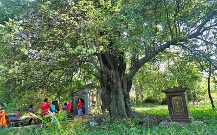 Ngôi làng cổ giữa TP Huế giàu truyền thống hiếu học, số giáo sư, tiến sĩ, cử nhân, thạc sĩ đếm không xuể