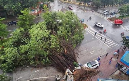 Bão Yagi ở Hà Nội, cây đổ khắp đường phố, một số nơi mất điện