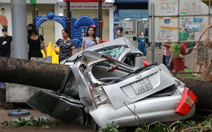 Nhiều cây cổ thụ bật gốc, đè nát ô tô sau khi bão Yagi "cuồng phong" đổ bộ vào Hà Nội 