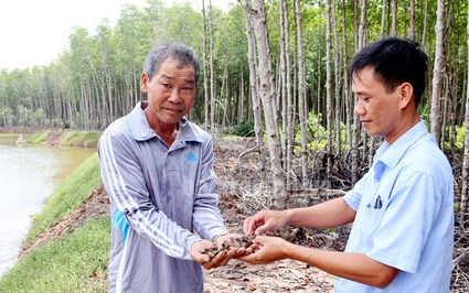 Đây là con vật "sống chậm" trong rừng ở Trà Vinh, dân chả phải cho ăn, thấy lơn lớn bắt bán 100.000 đồng/kg