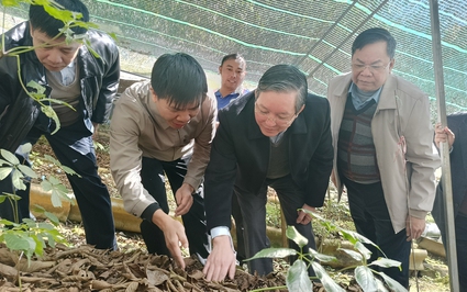 Chủ tịch Hội NDVN Lương Quốc Đoàn vượt núi thăm, tặng quà Tết cho hội viên, nông dân trồng sâm Lai Châu