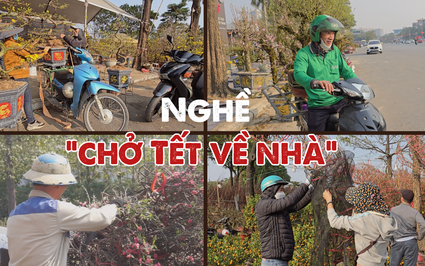 Nghề chở "hoa cỏ mùa xuân" về nhà kiếm tiền triệu mỗi ngày