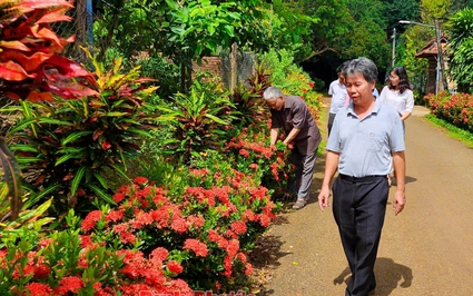 Một xã ở Bình Phước có đường hoa nông thôn mới trồng hoa mẫu đơn đẹp như phim, tha hồ chụp hình