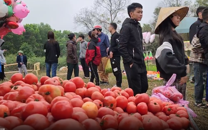 Độc lạ ngày Tết “chợ ném cà chua” lớn nhất xứ Thanh