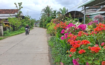 Xã nông thôn mới này ở Phú Yên có một đường hoa đẹp mê ly, hoa giấy 3 màu tuôn như suối