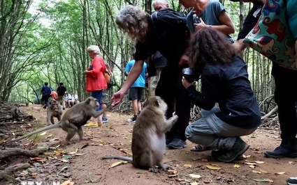 Cách trung tâm TP HCM 50km có khu rừng um tùm, la liệt một loài động vật hoang dã, dân tình tha hồ chụp hình