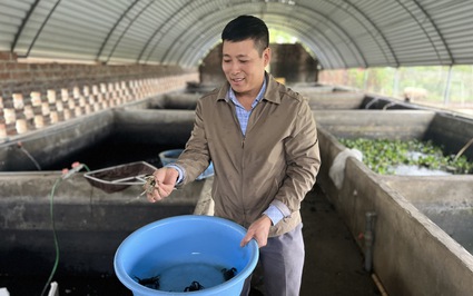 Tỷ phú Hưng Yên là một ông nông dân nuôi con đặc sản la liệt, thu 20 tỷ/năm