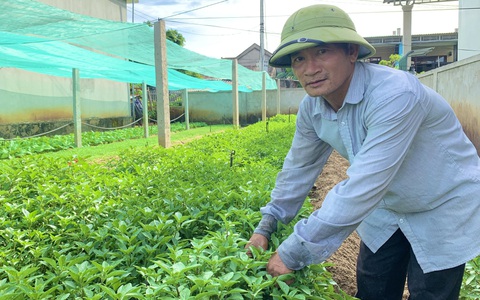 Tin tức, sự kiện liên quan đến Vườn mẫu nông thôn mới | Dân Việt