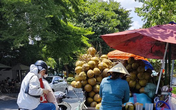 Dừa tươi tăng giá gấp đôi mùa nắng nóng