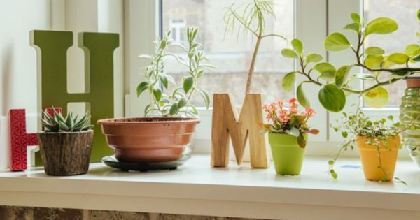 cách trang trí cửa sổ