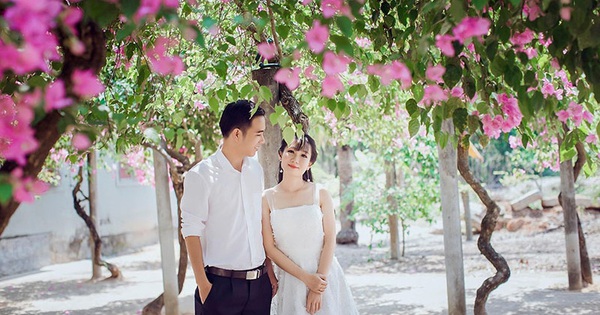 999+ Vườn hoa giấy đẹp nhất Việt Nam Khám phá khung cảnh thiên nhiên đẹp nhất