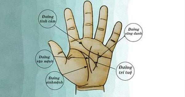 Lòng bàn tay hình chữ nhật có ý nghĩa gì đối với con người? 
