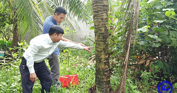 Tính năng và ý nghĩa của kim ô trong văn hóa Việt Nam?
