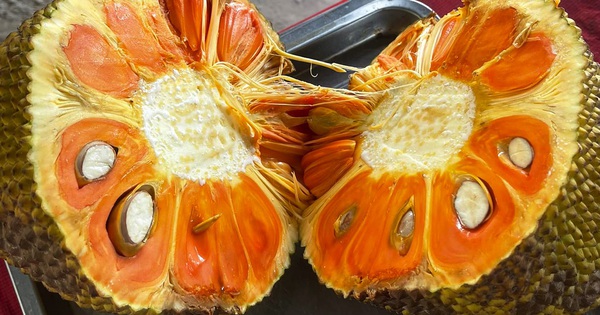 What are the characteristics and taste of mít ruột đỏ sơ vàng (red-fleshed jackfruit with yellow fibers)?